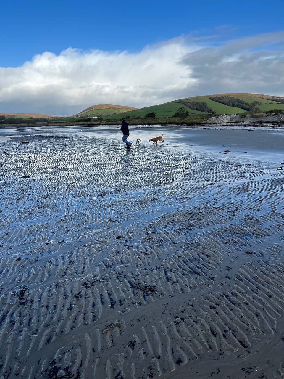 The Ettrick Bay Cafe