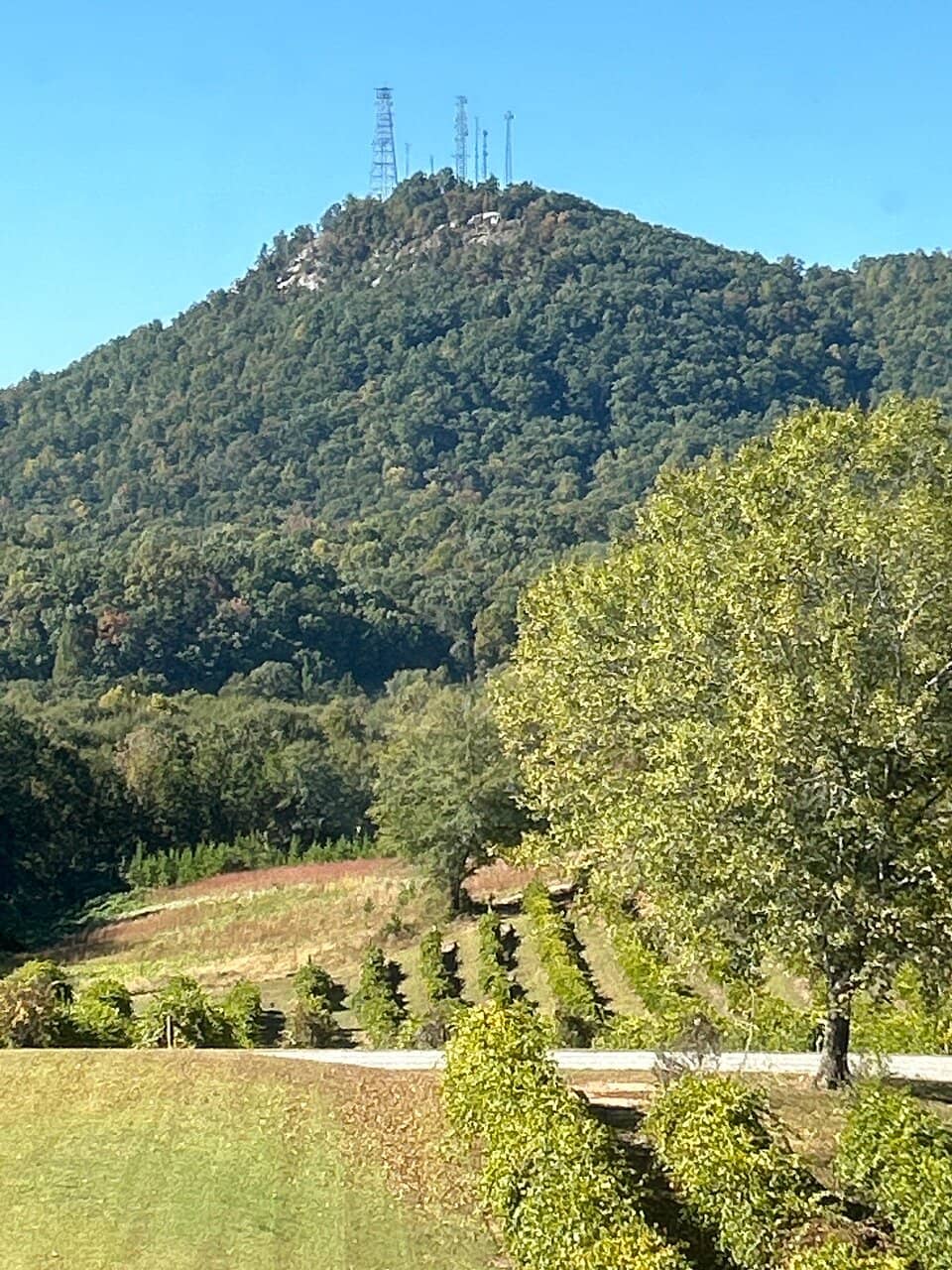 Wine Tasting Experience