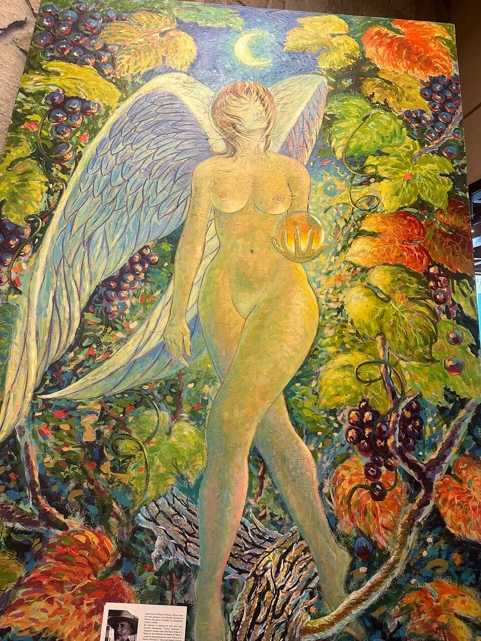 Panoramic Vineyard Views