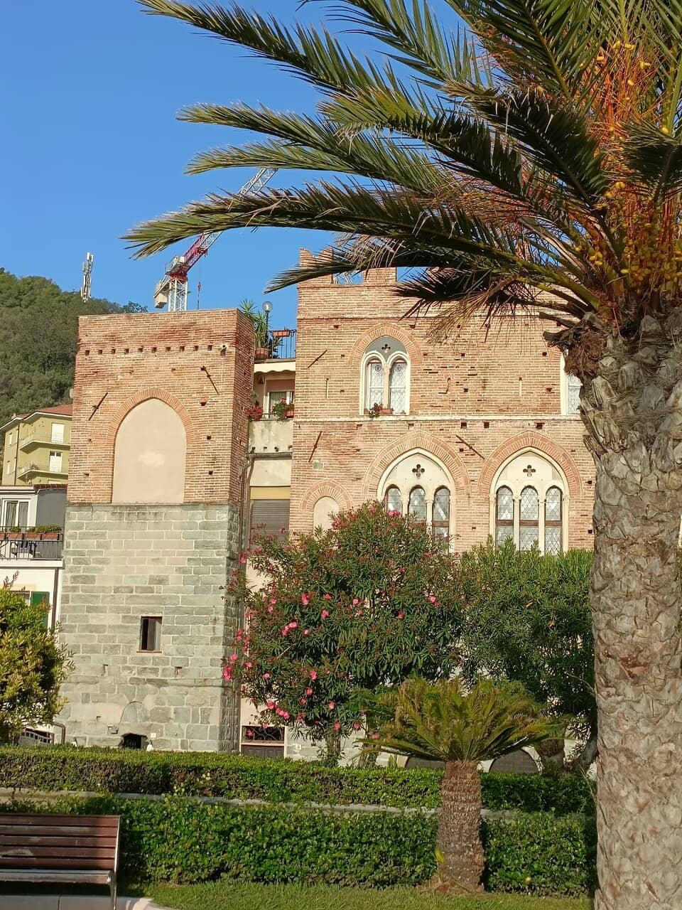 Local Culinary Delights