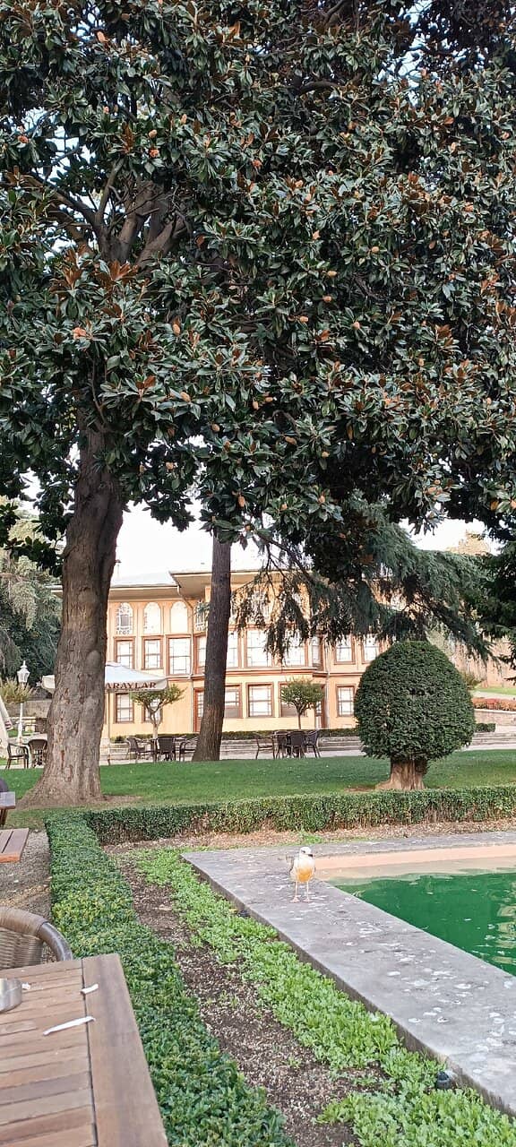 The Pavilion's Grand Interior