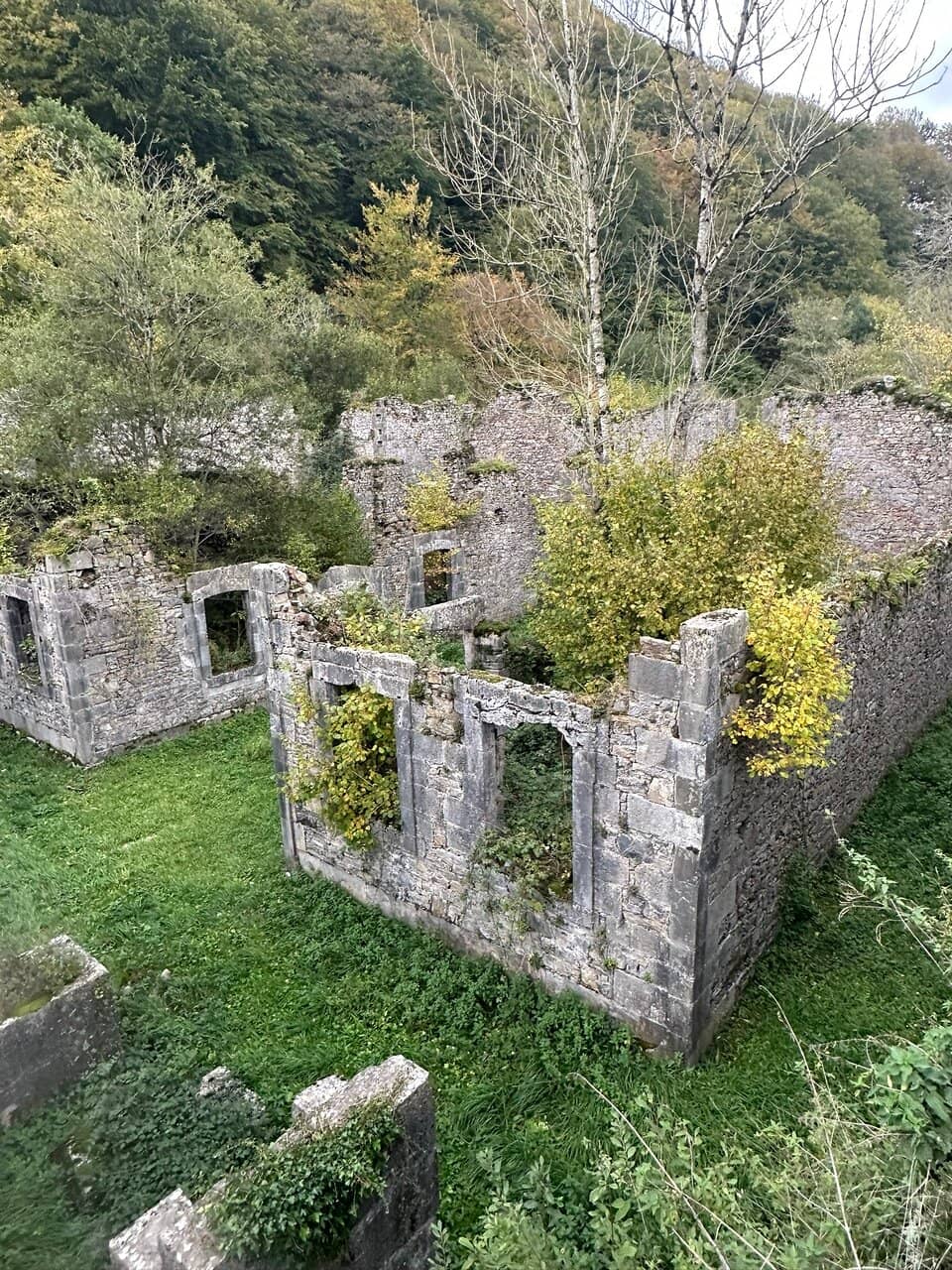 Nature's Reclamation