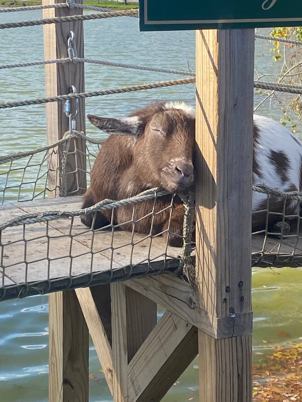 Hysteria Haunted Attraction