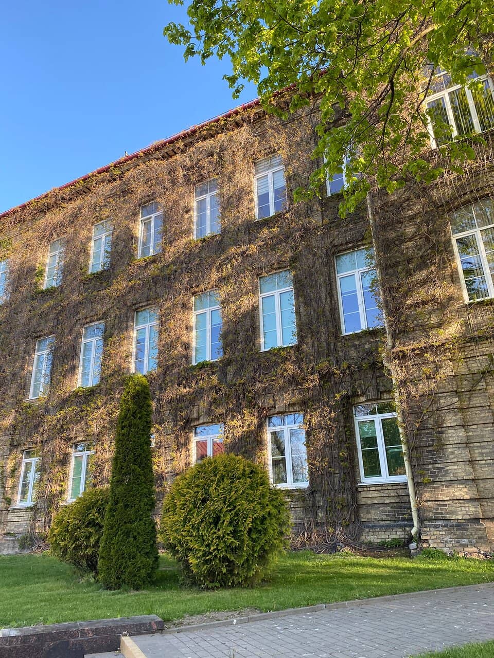 University's Rich History