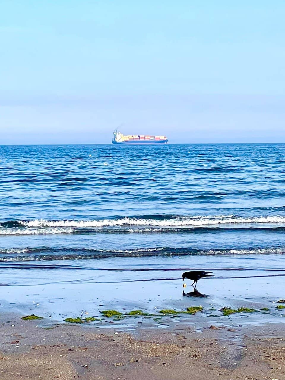Pottery Shards & Seaglass