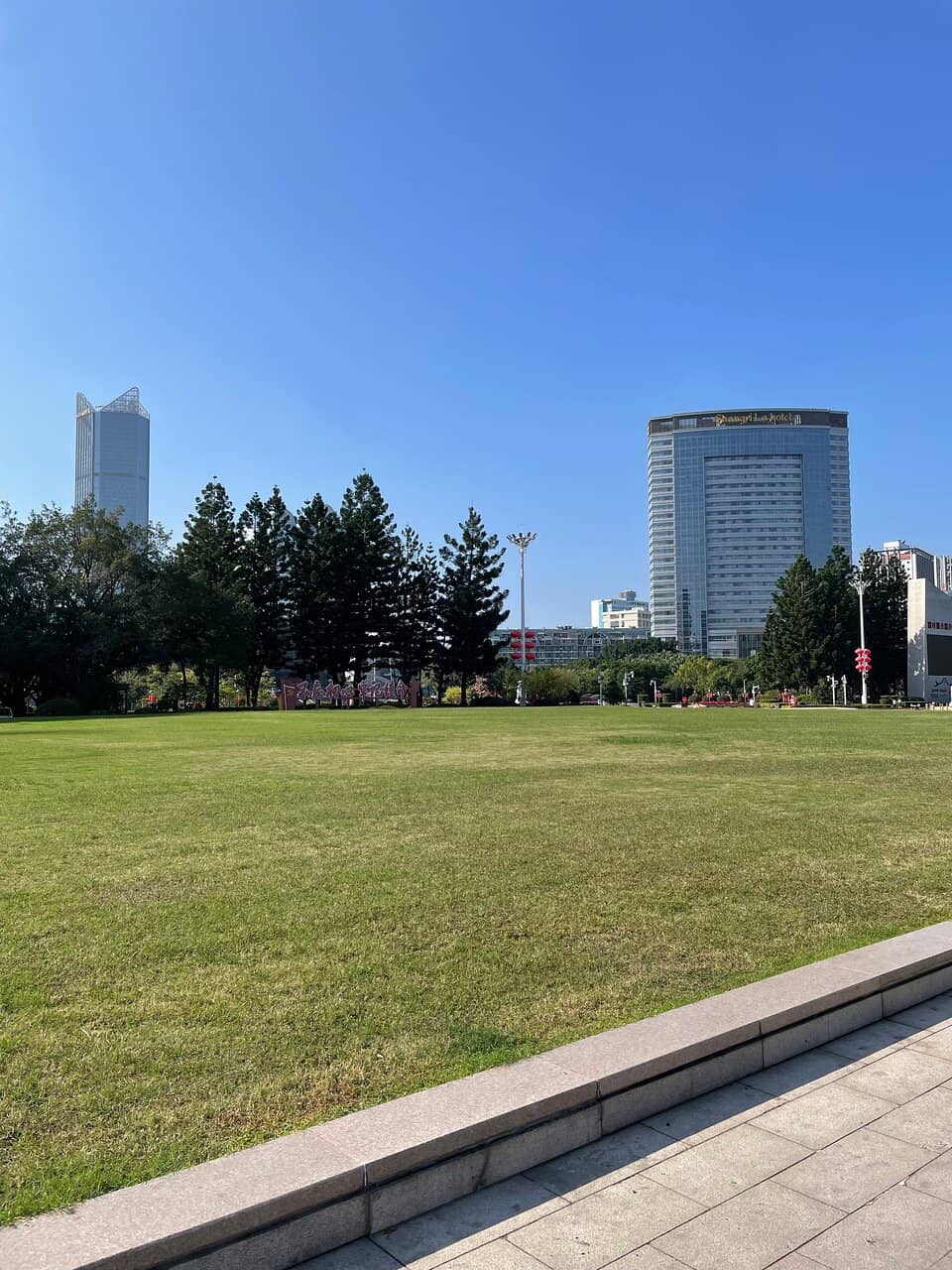 Festive Holiday Celebrations