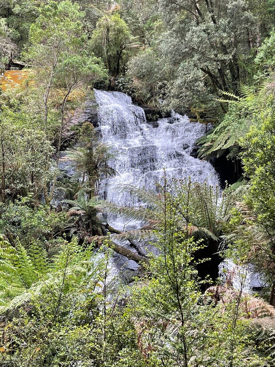 Elevated Viewing Platforms
