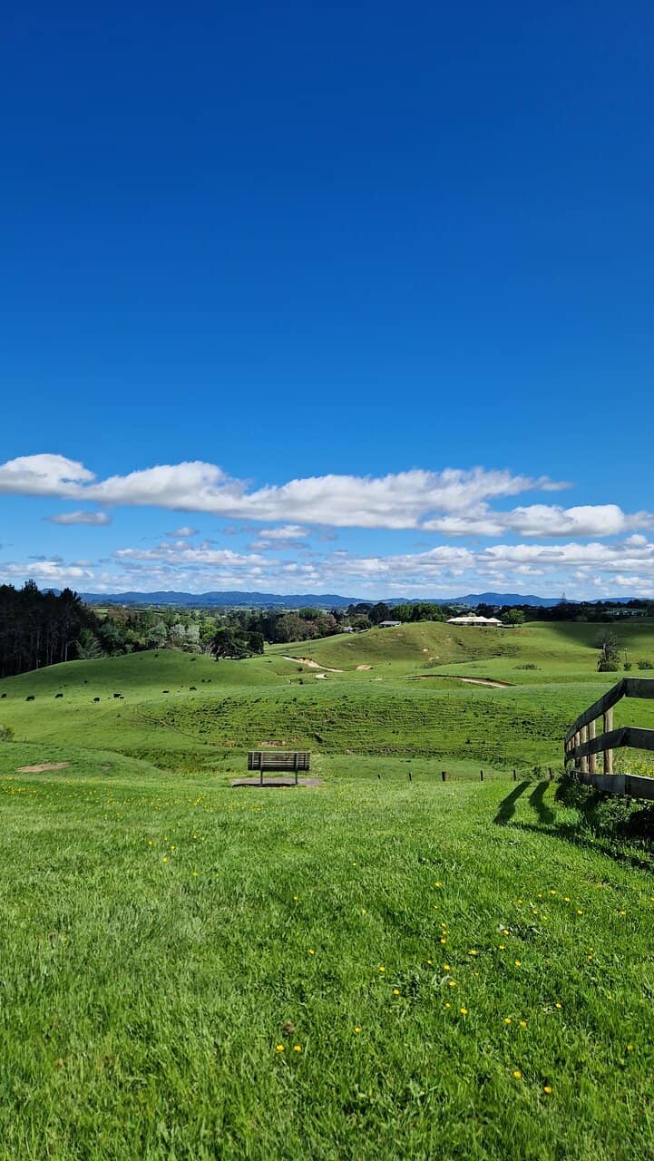 Tranquil Lakes and Ponds