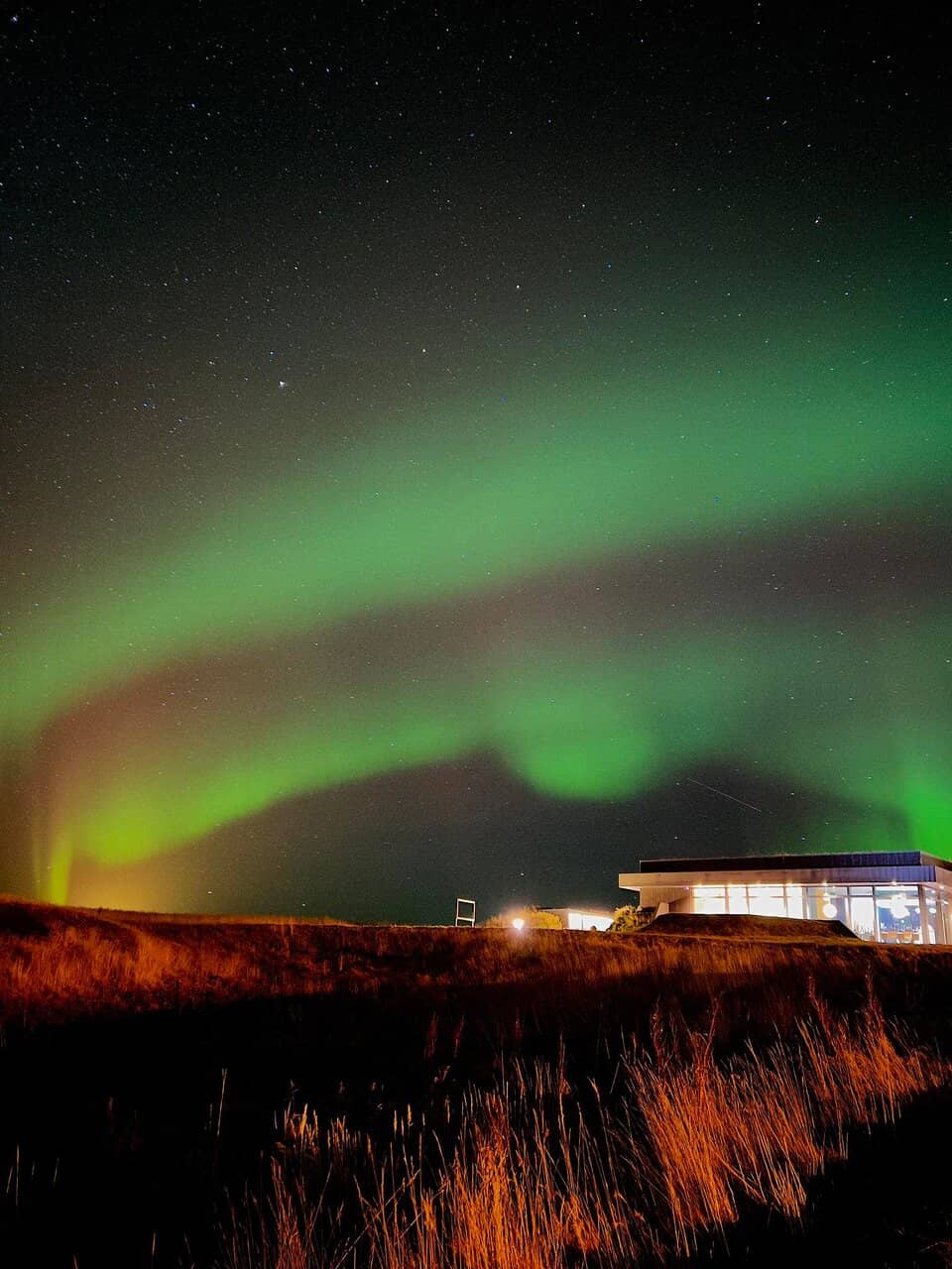 Restaurant Experience