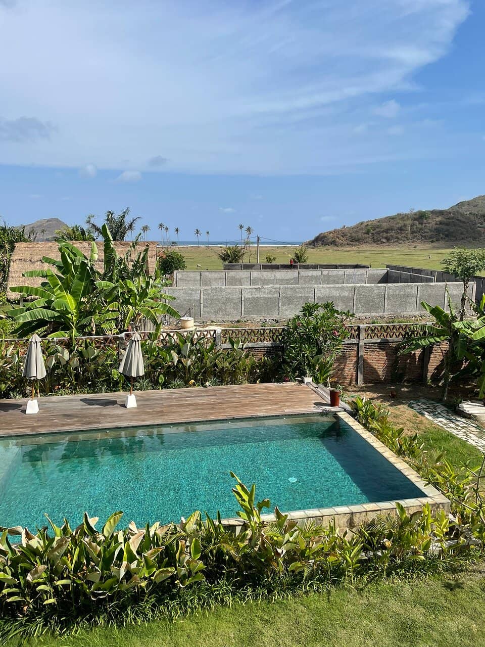 Surfer's Dream Waves