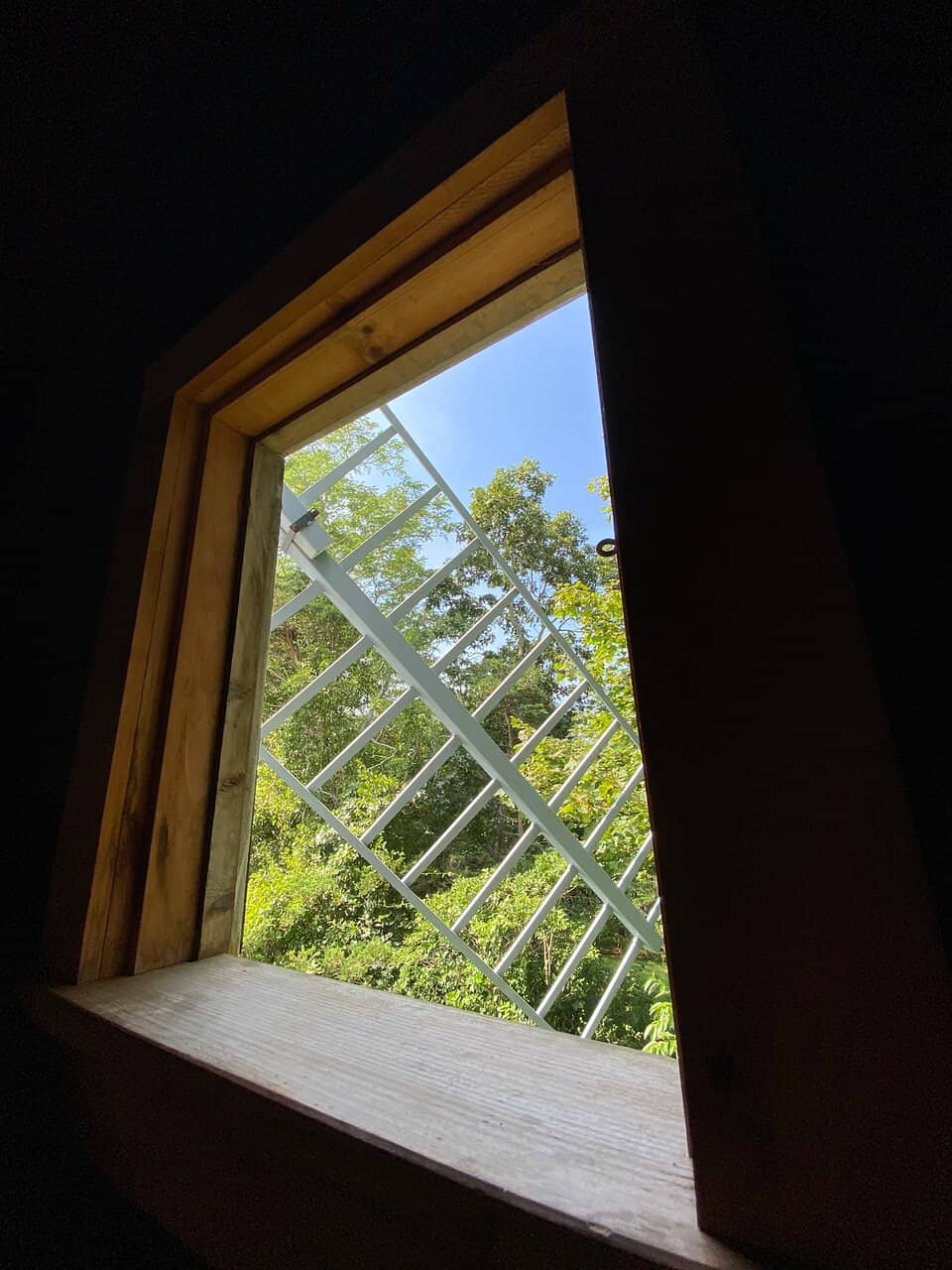 Underwater Photography