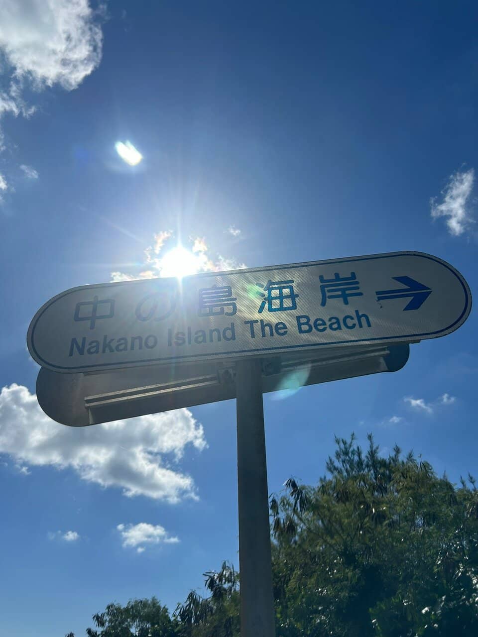 Anemonefish Encounters