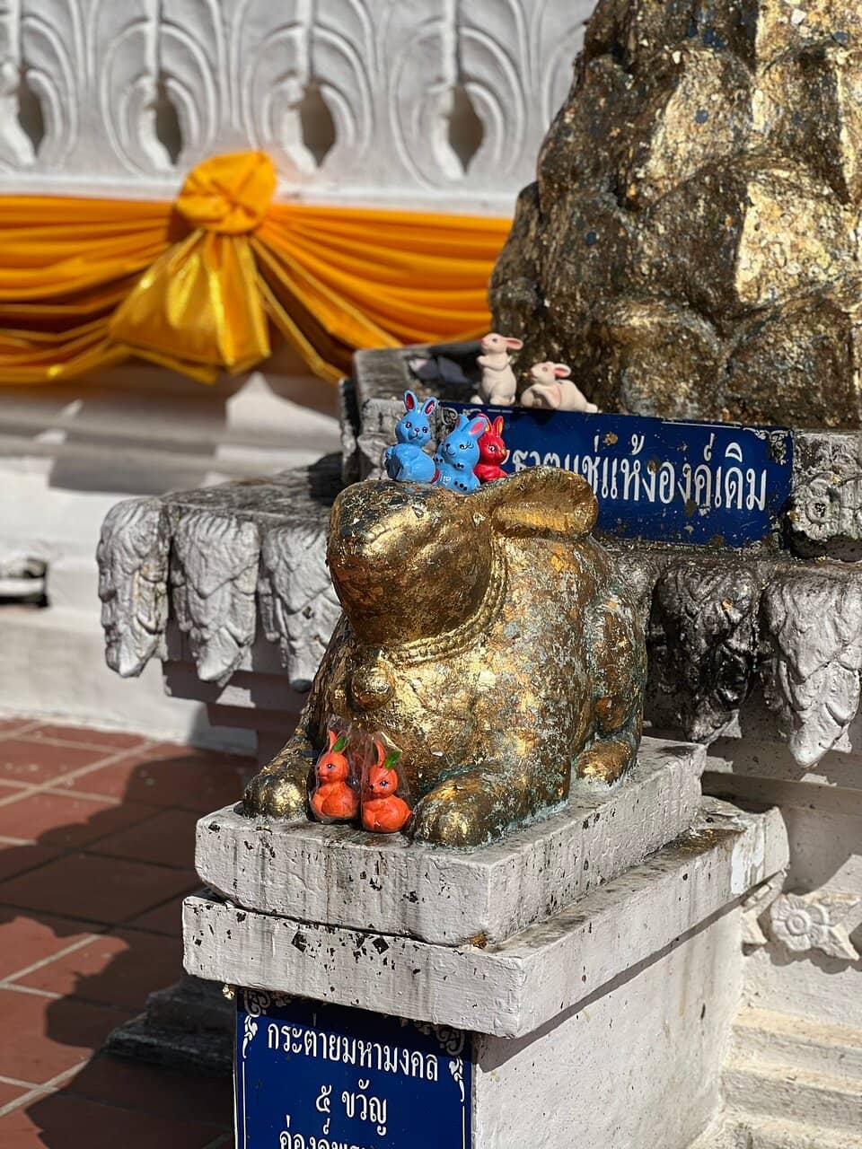 Year of the Rabbit Connection