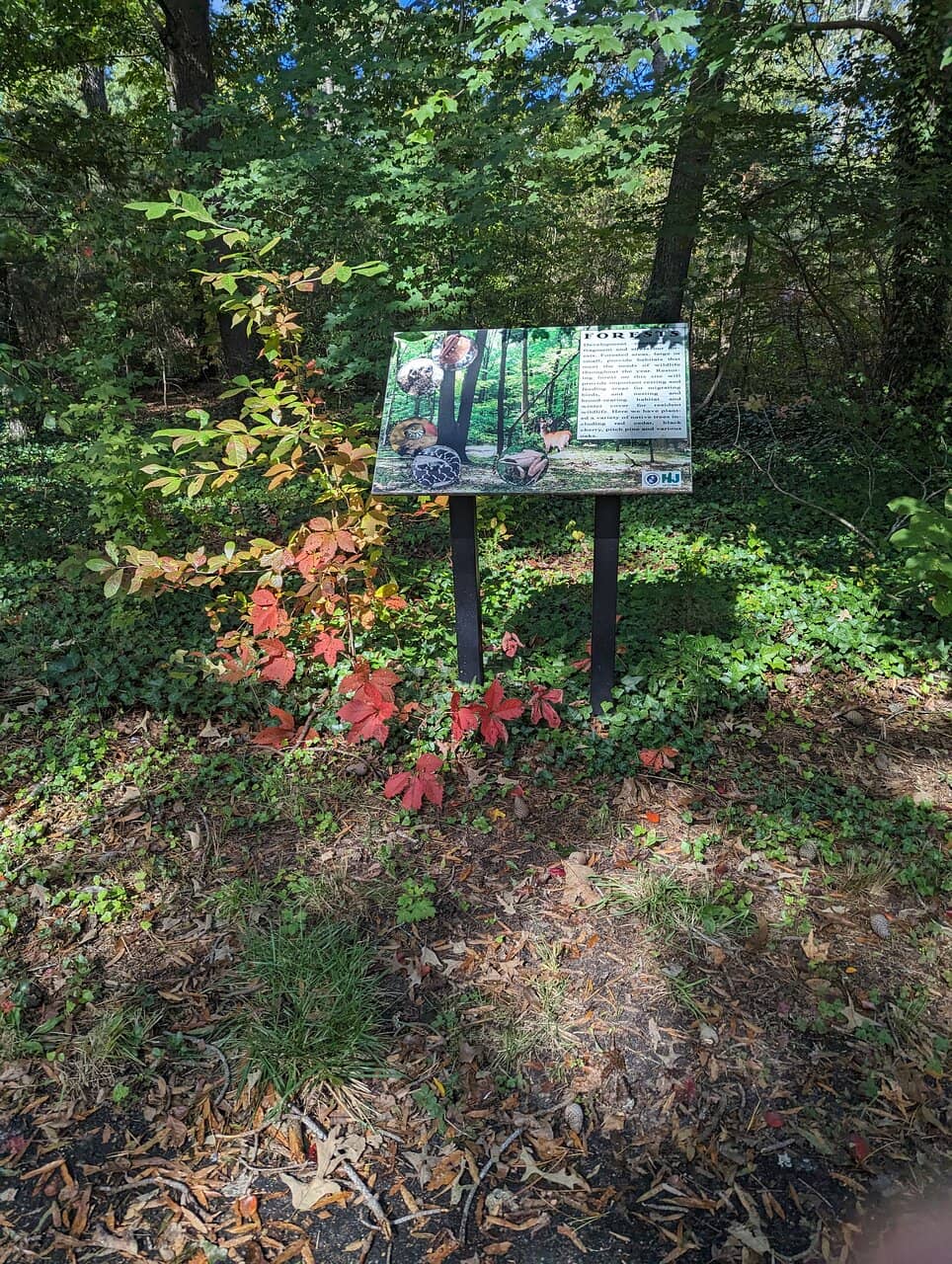 Birdwatching Paradise