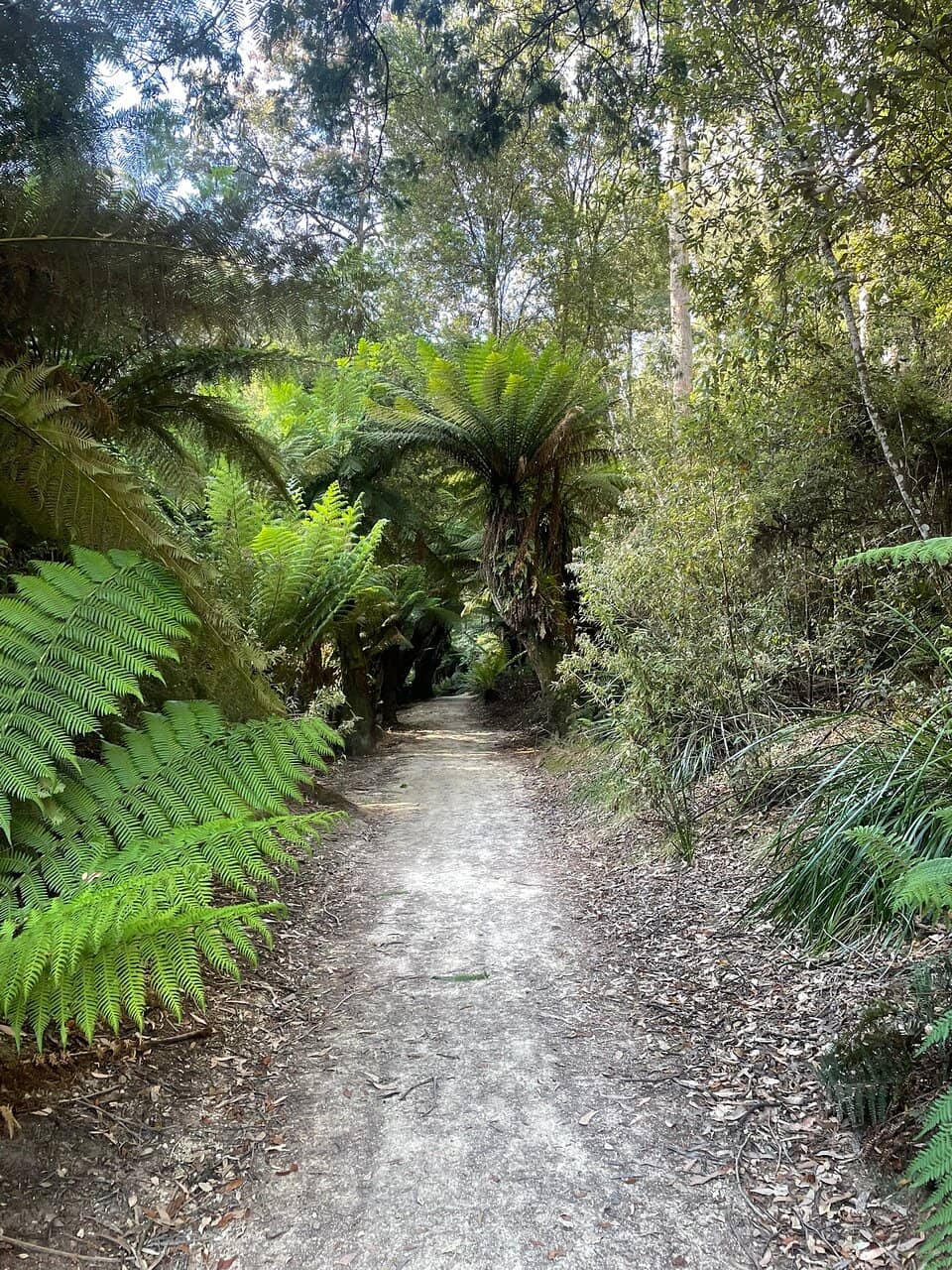 Picnic & BBQ Facilities