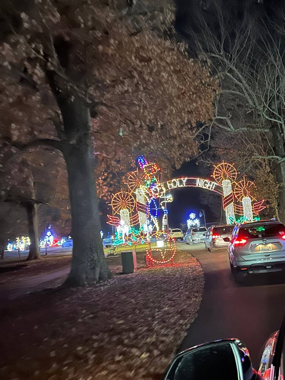 Playgrounds & Skate Park