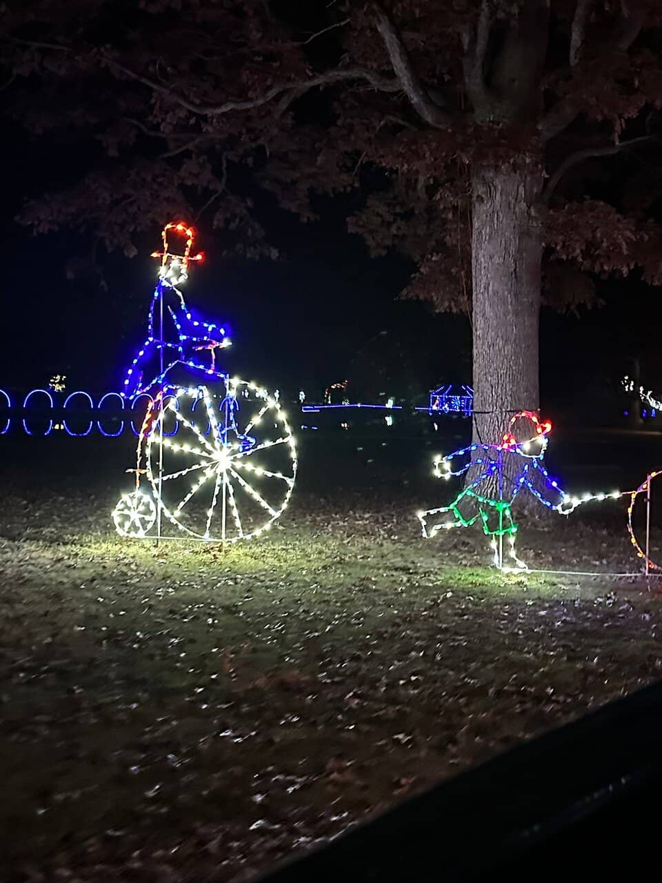 Lake and Fishing Piers
