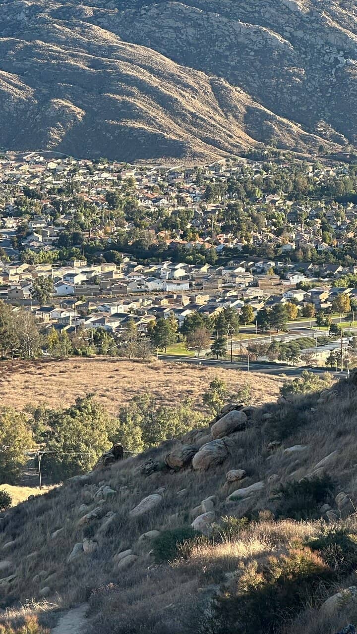 Wild Donkey Encounters