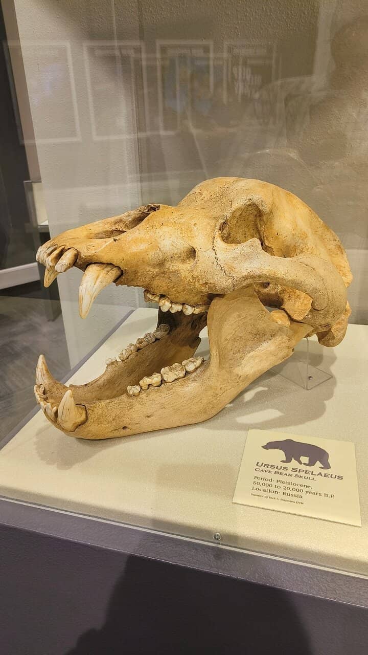 Faulkner Planetarium