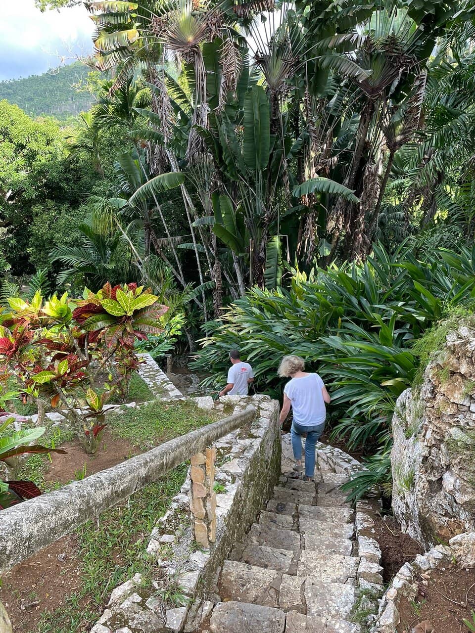 Birdwatching Paradise