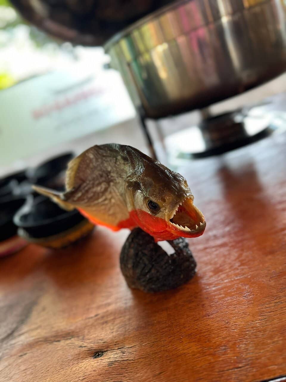 Traditional Amazonian Soups