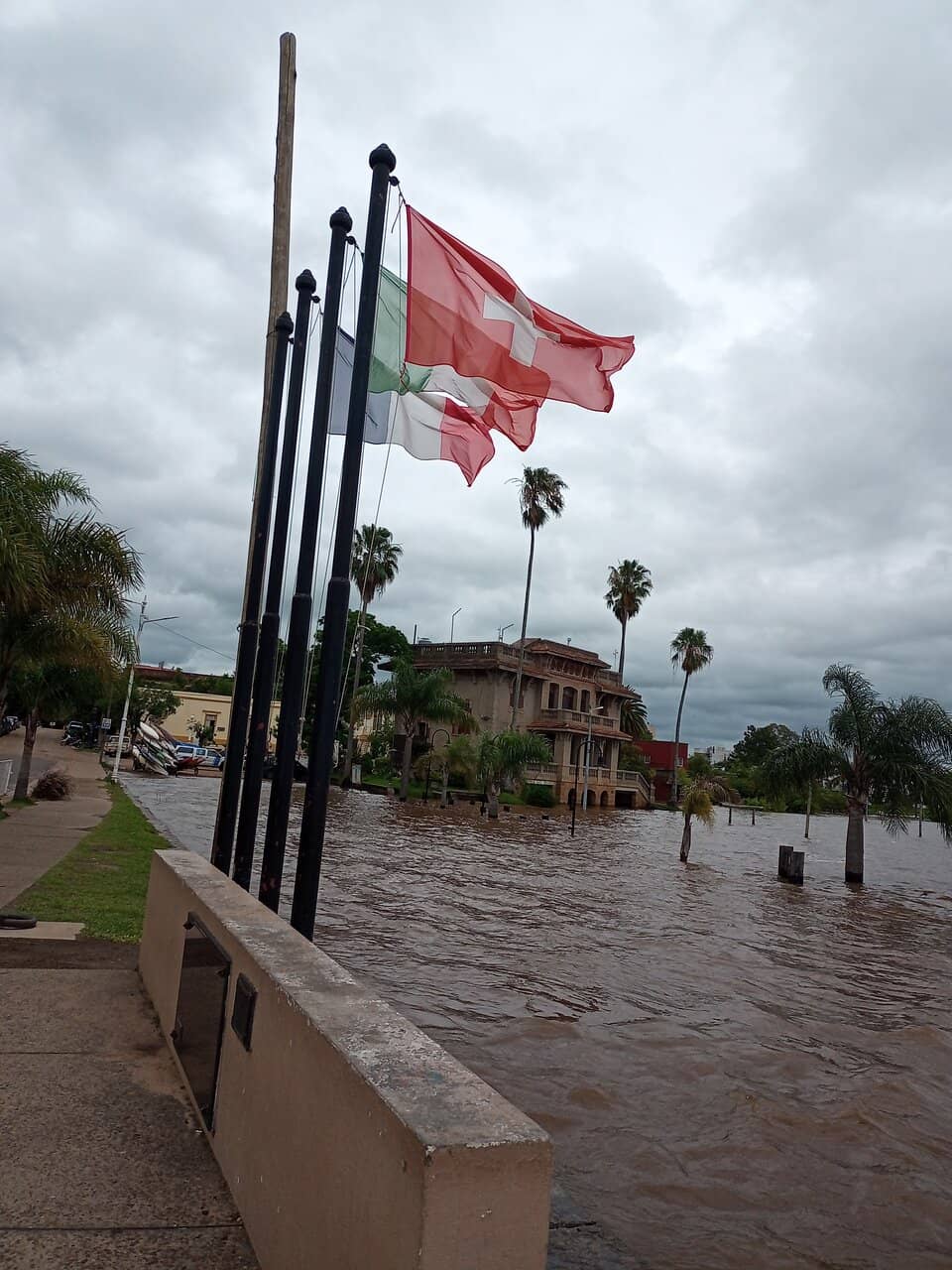 Asian Culinary Delights