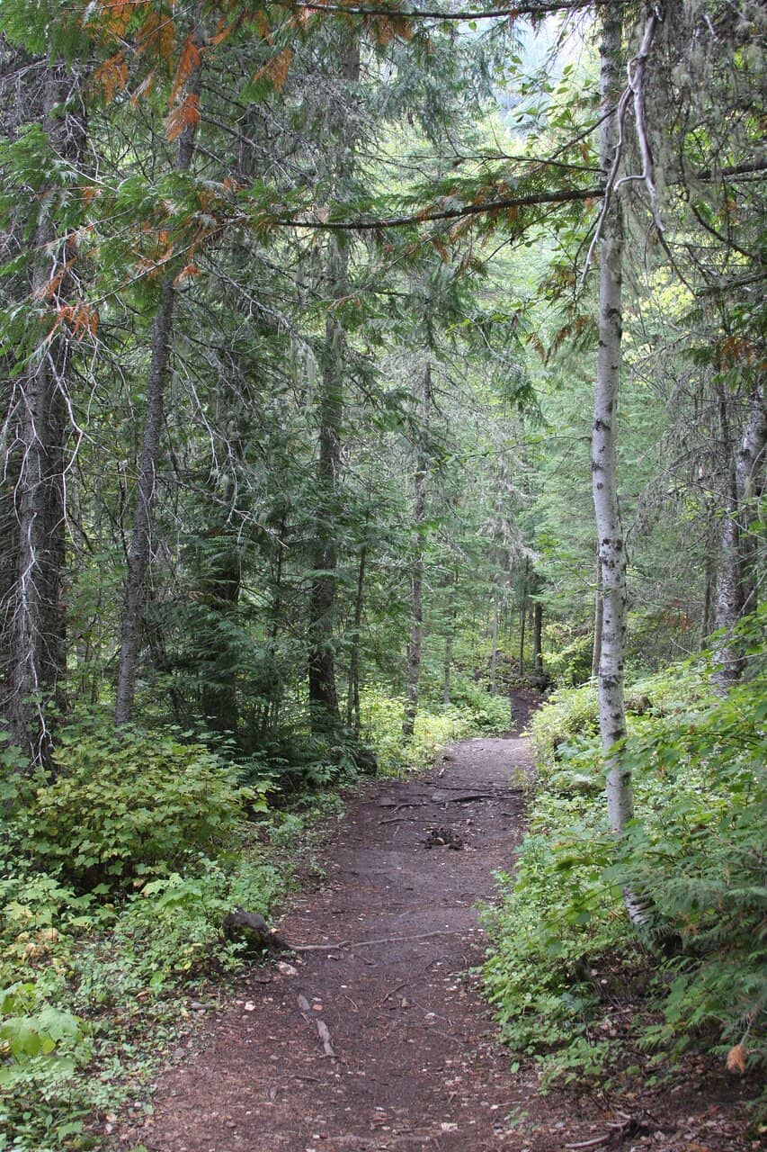 Enchanting Fairy Doors