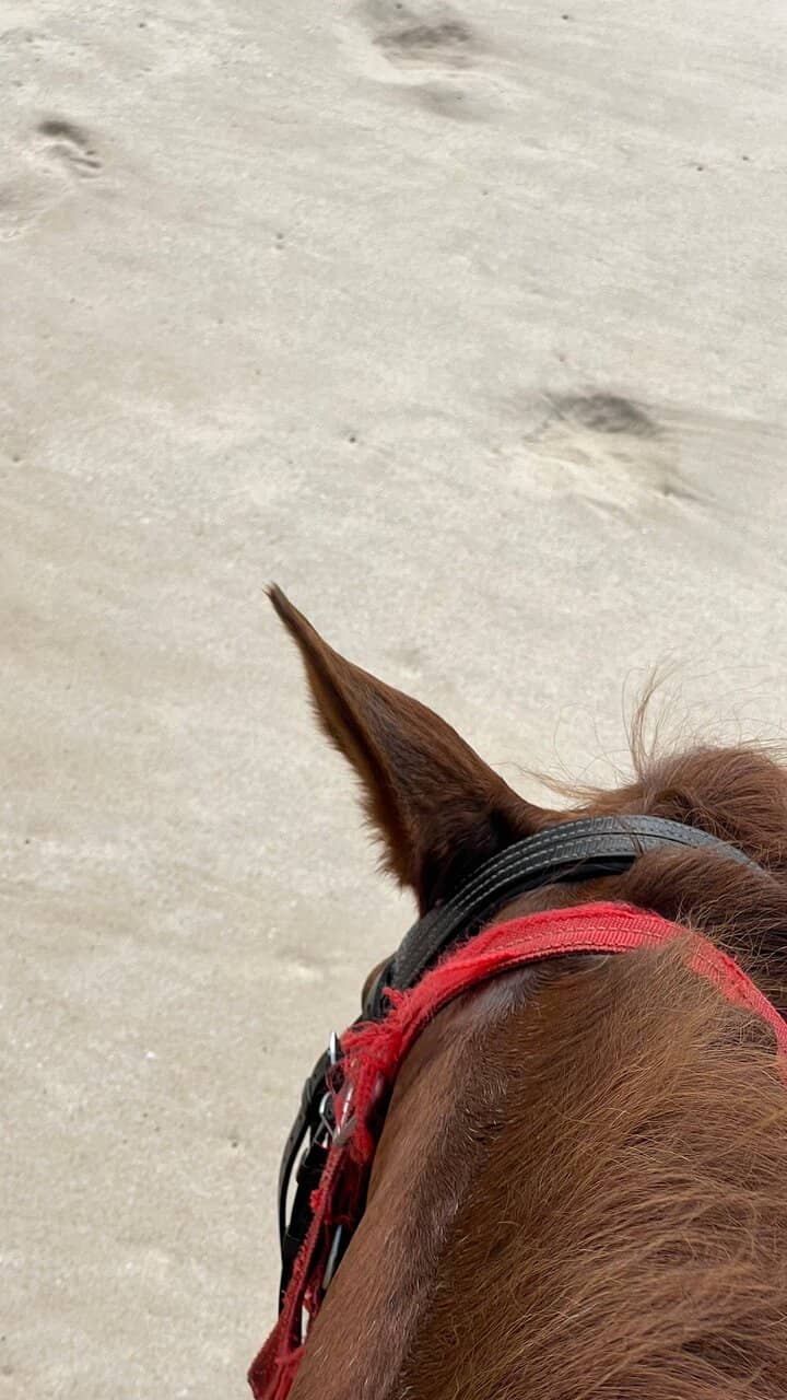 Scenic Coastal Trails