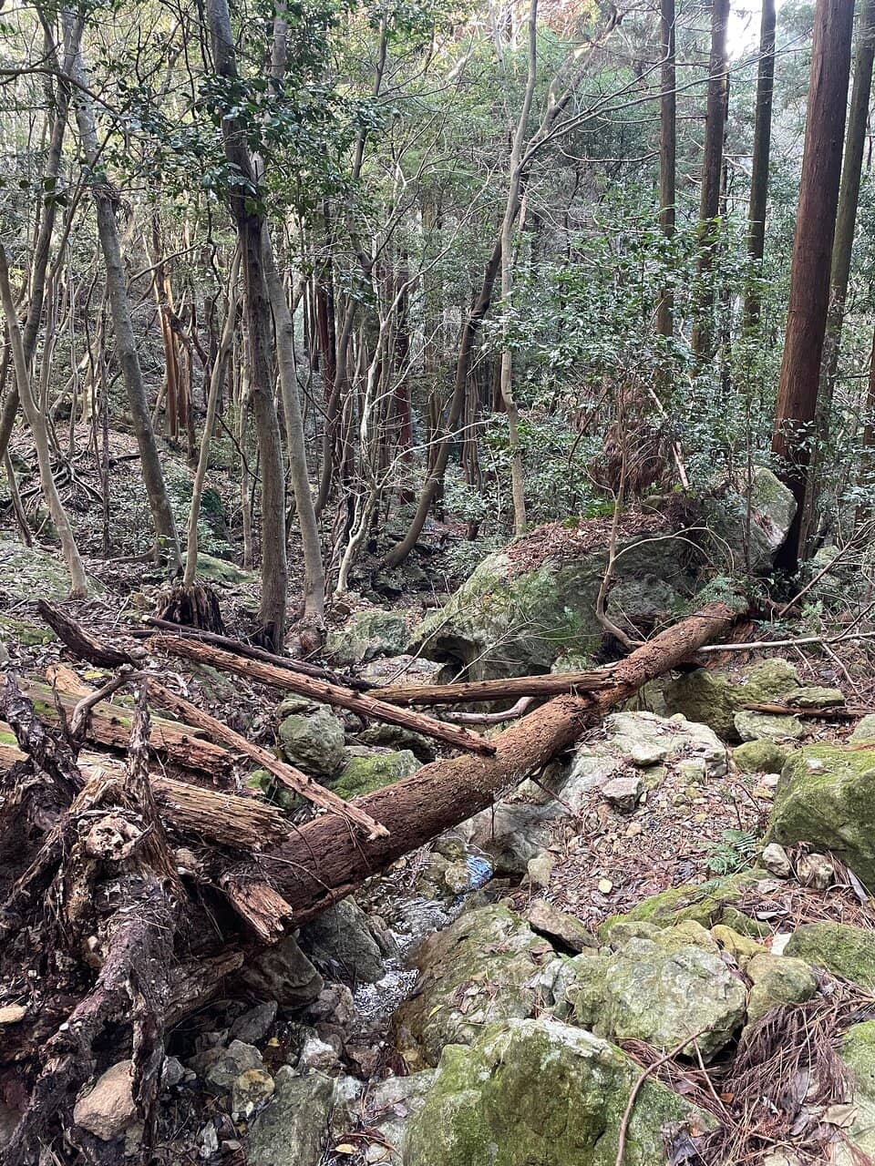 Unique Rock Formations