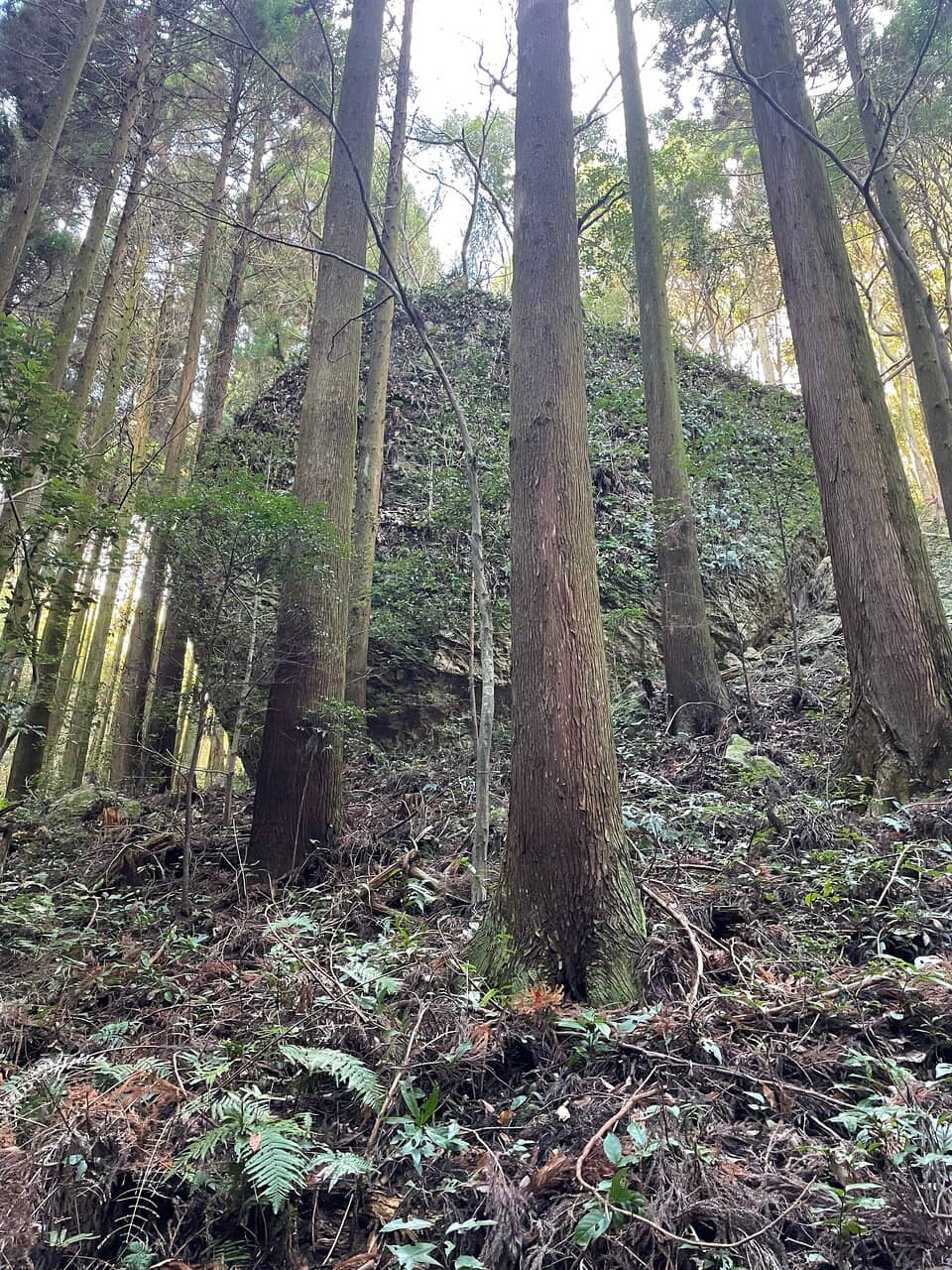 Sacred Peak Ascent