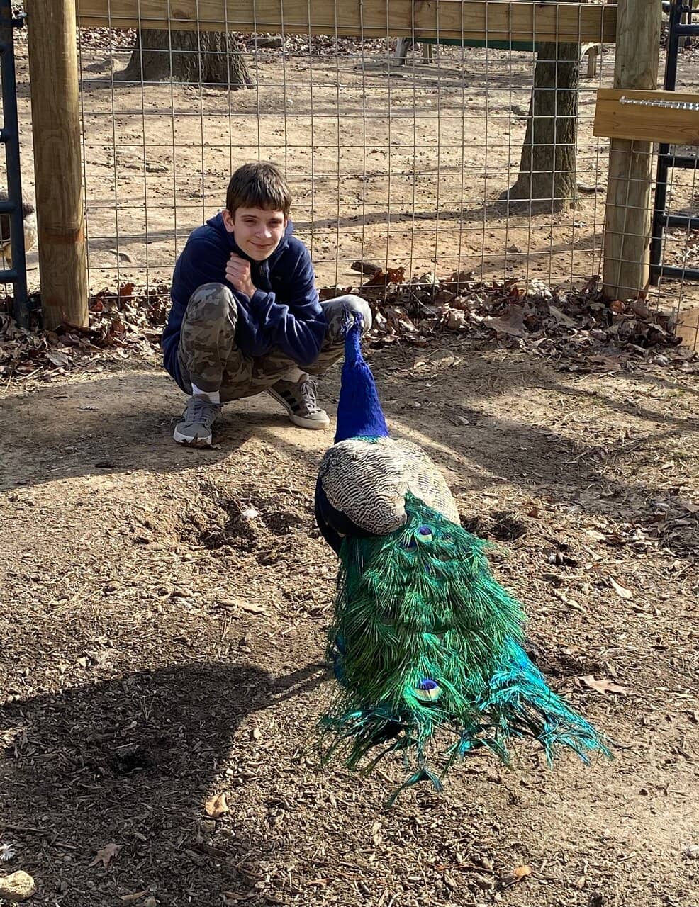 Exotic Animal Encounters