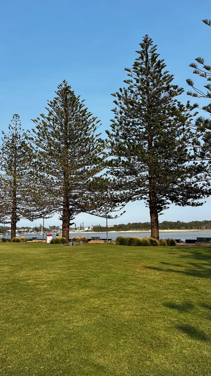Hastings River Rock Wall
