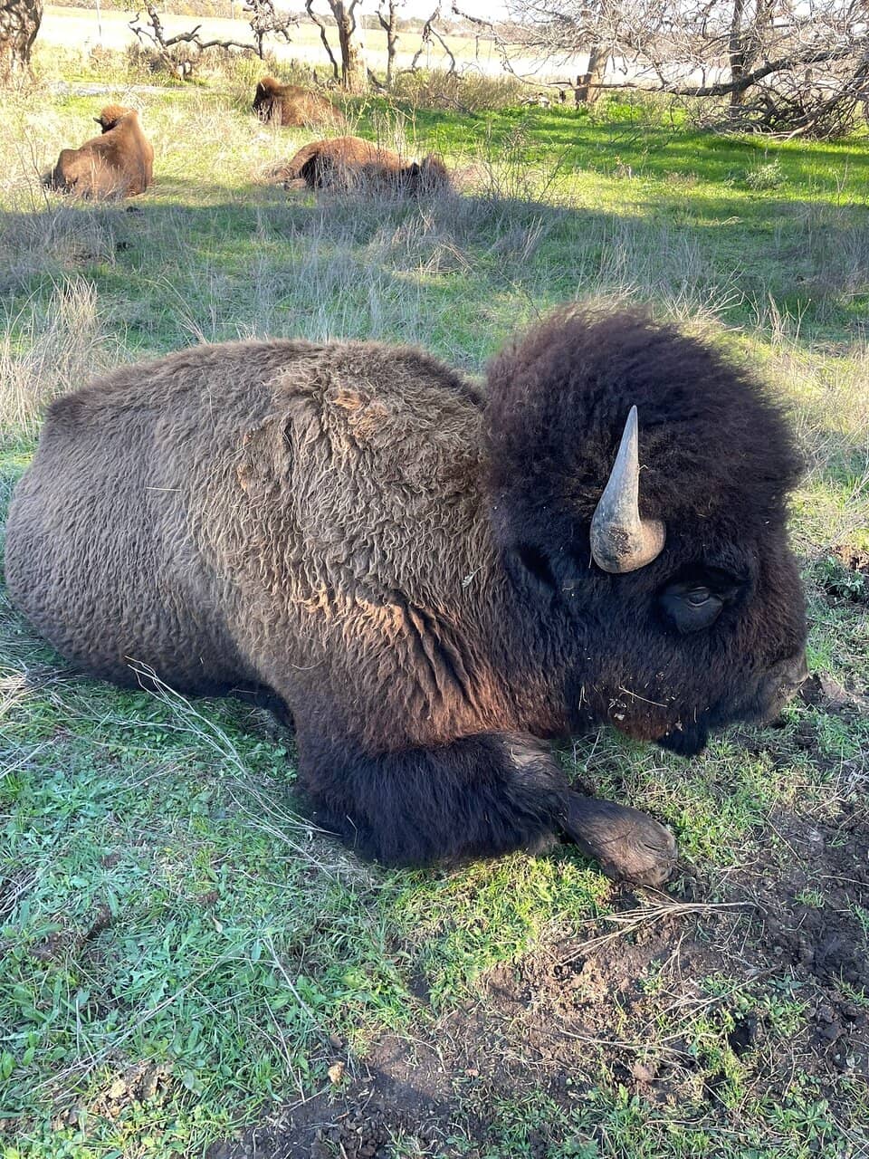 Costumed Interpreters