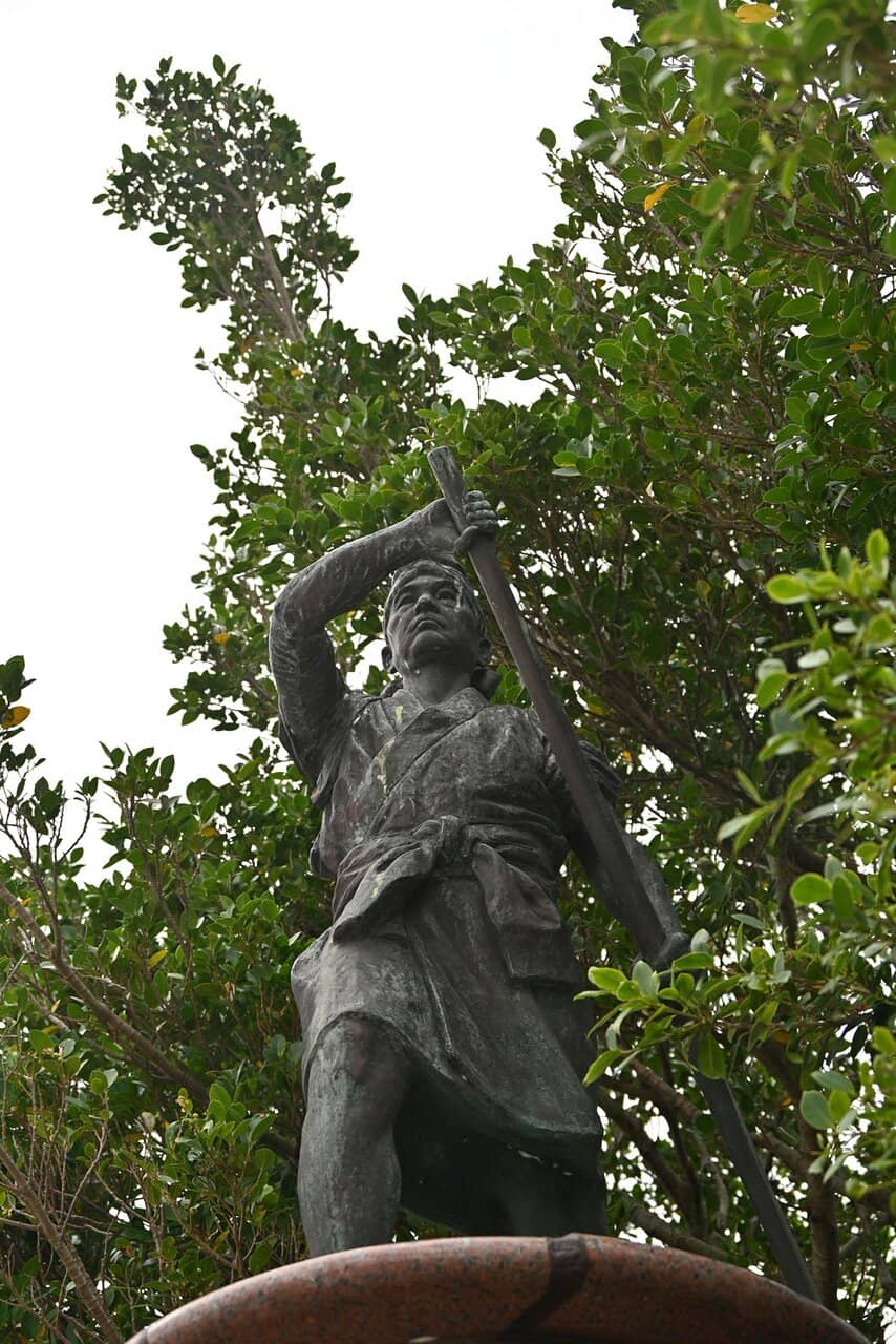 Mangrove Forest Serenity