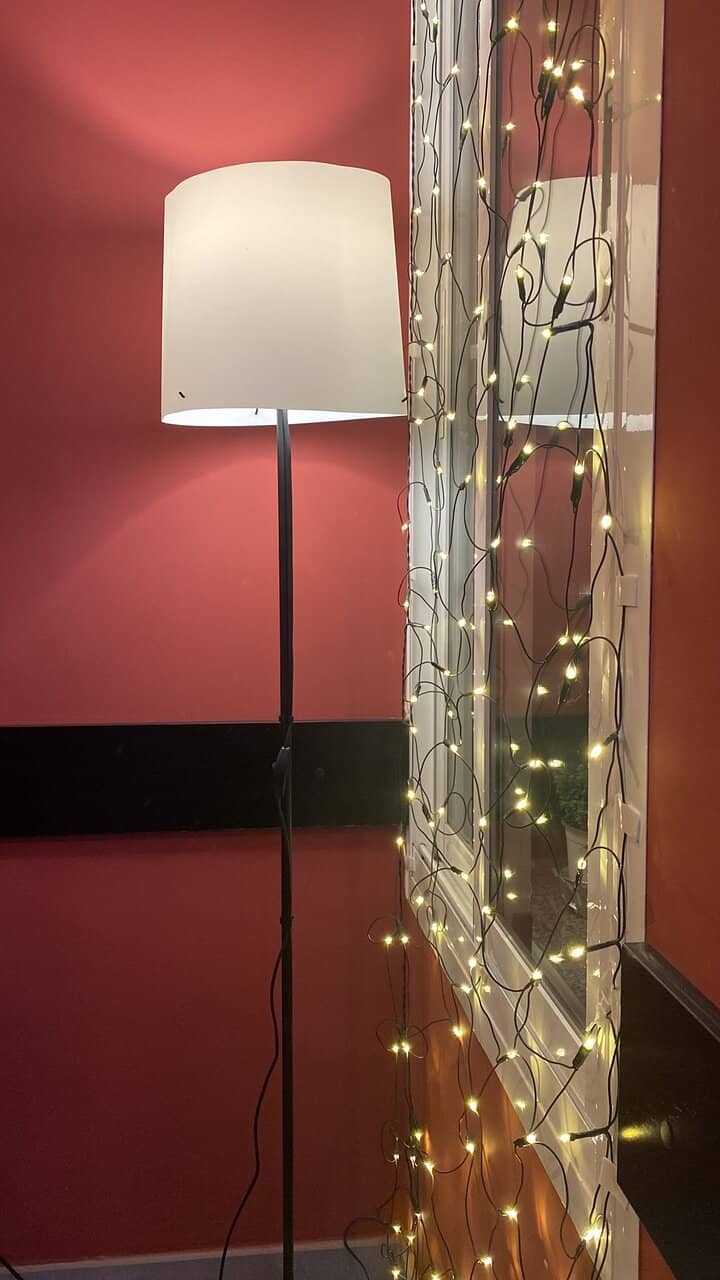 Innovative Fusion Cuisine