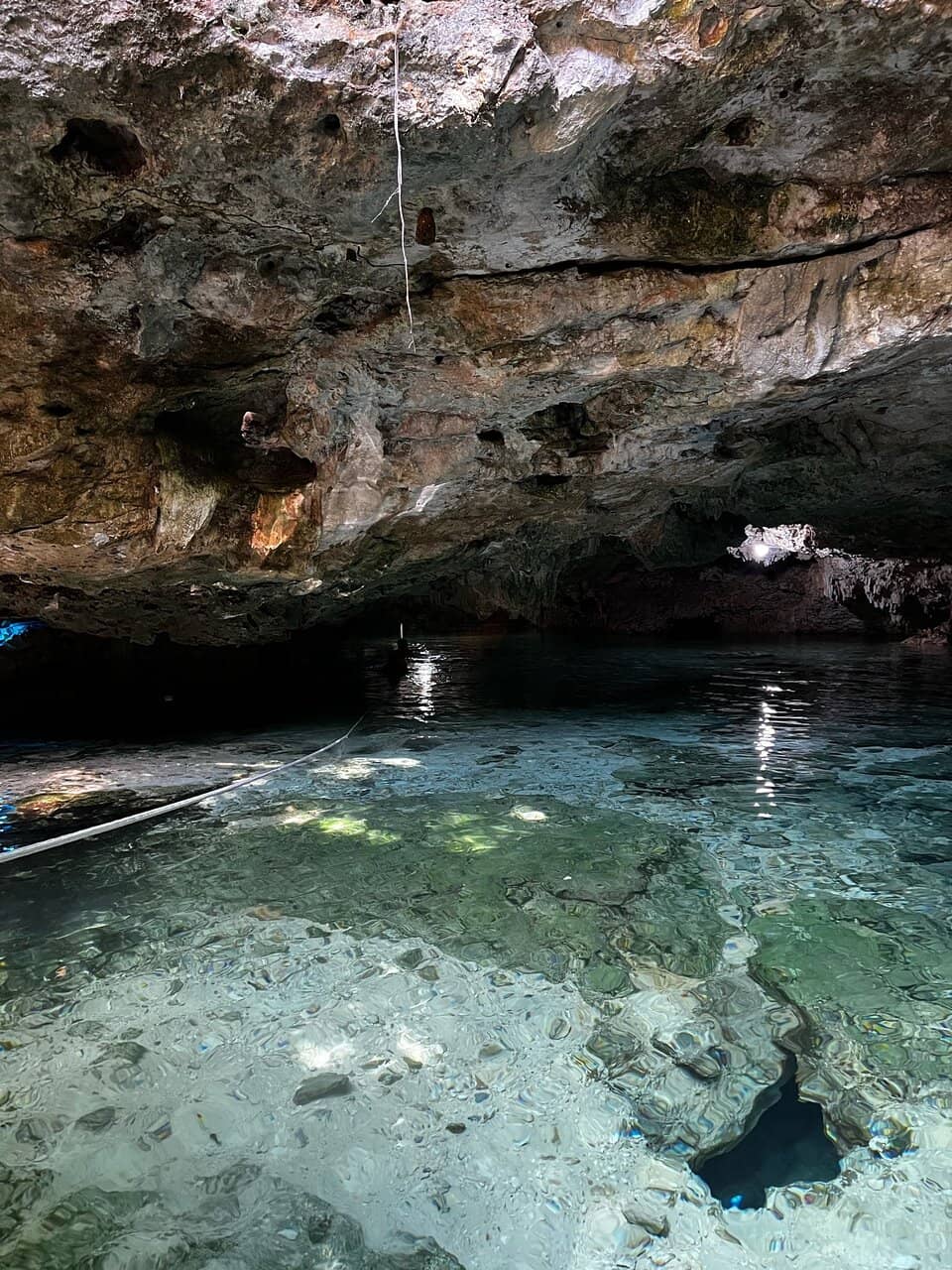 The Halocline Effect