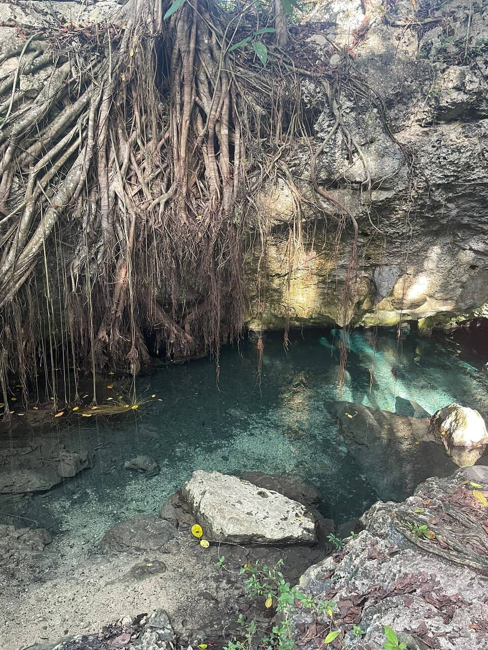 Scuba Diving Adventures