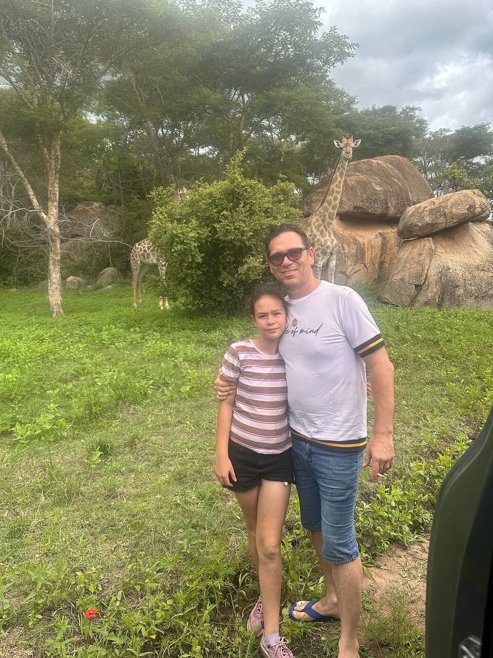 Lion Cub Interaction