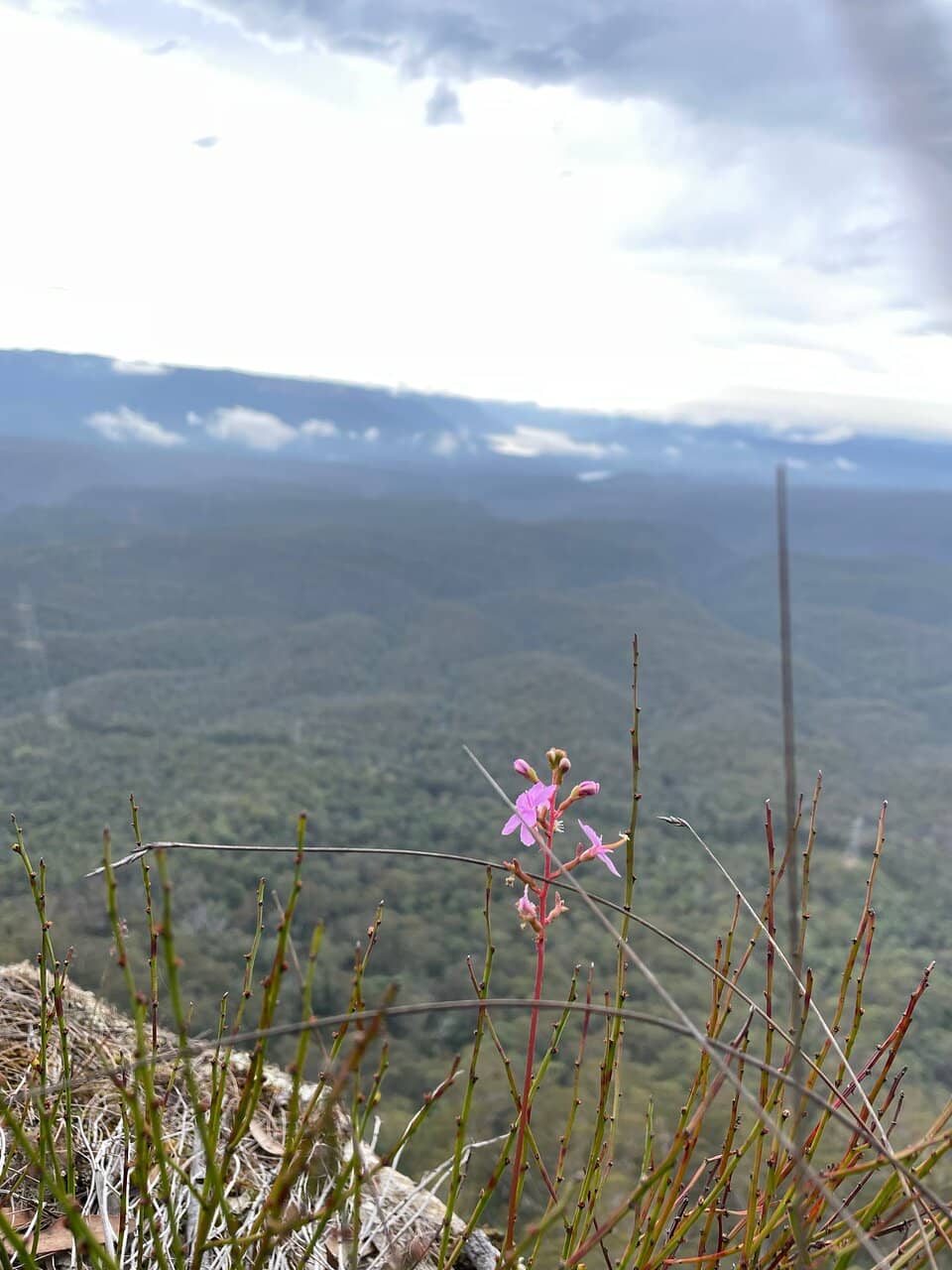 Phantom Falls Phenomenon