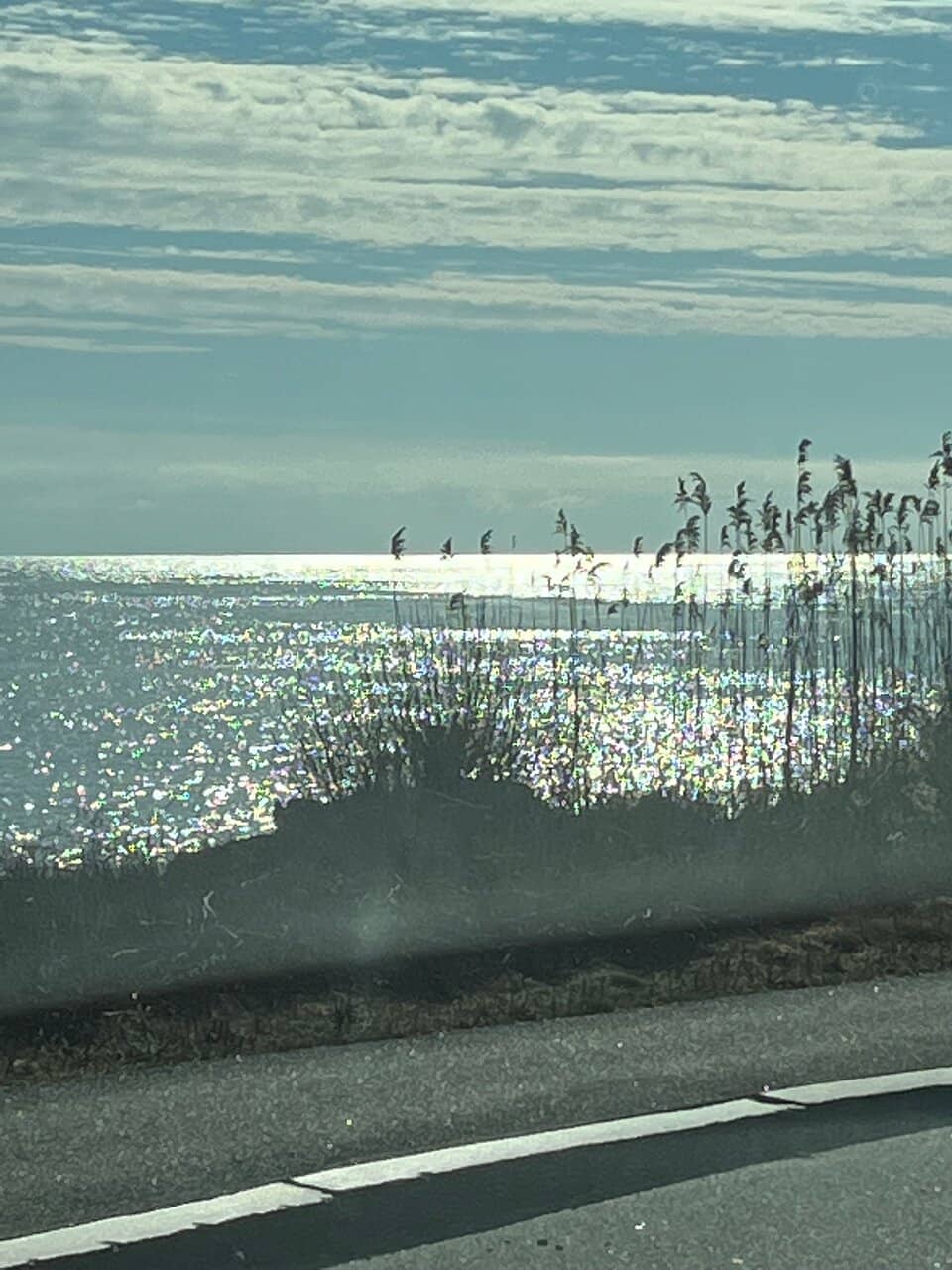 Low Tide Beachcombing