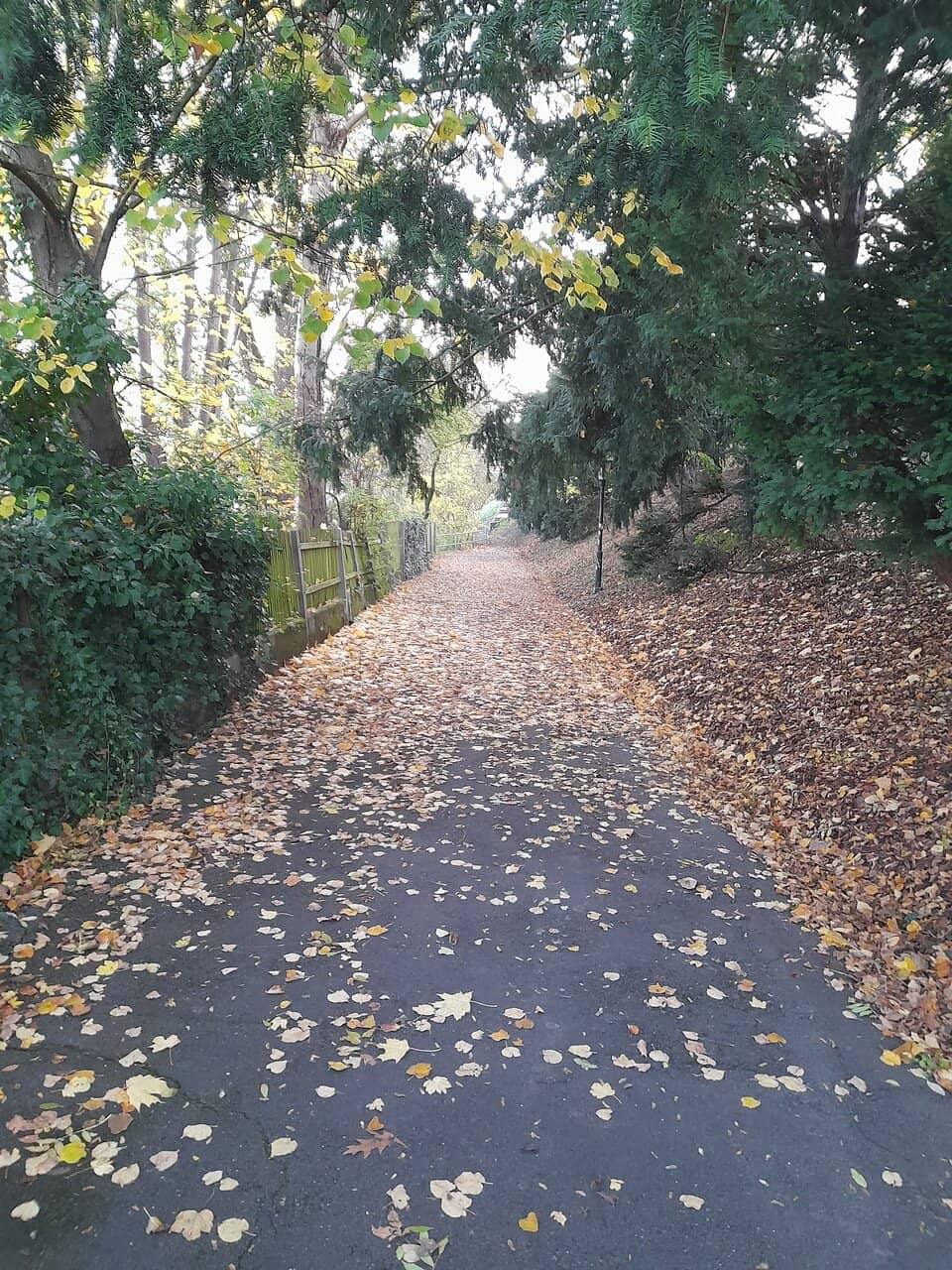 Oldest Church in Continuous Service