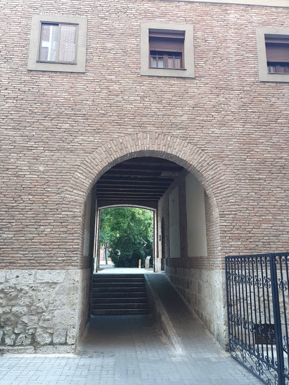 The 'Poisonous' Yew Tree