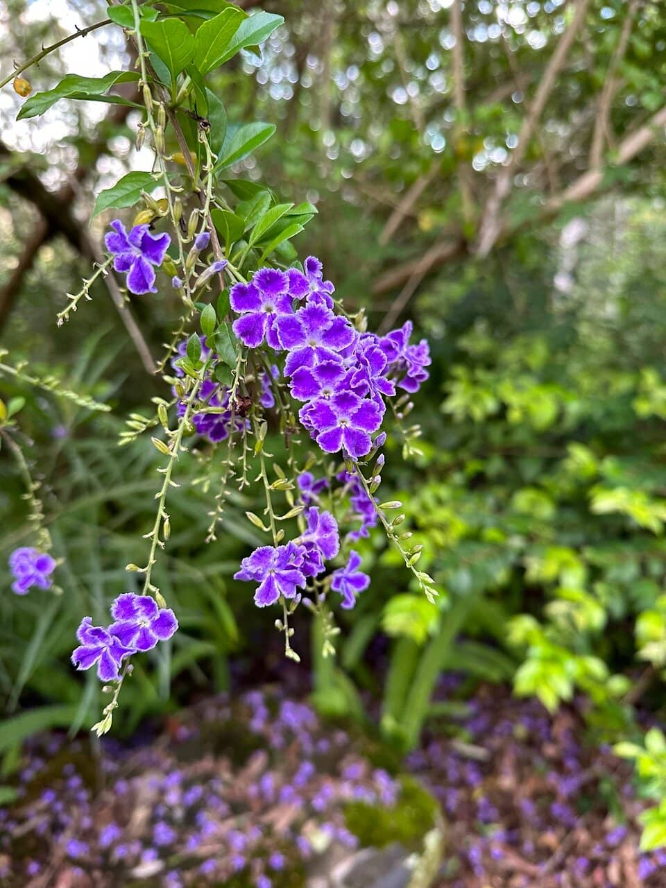 Spectacular Sunset Spot
