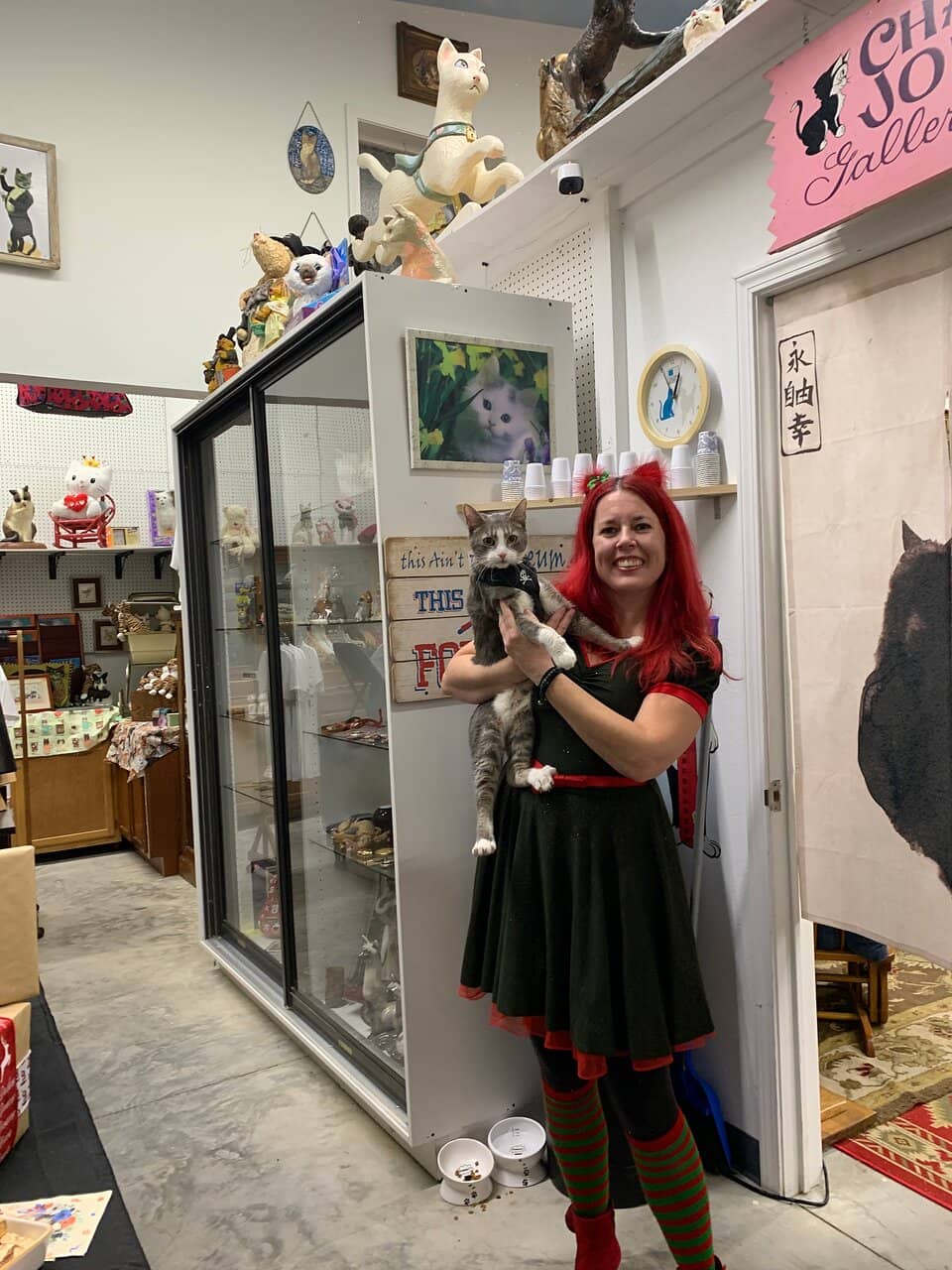 Interactive Displays