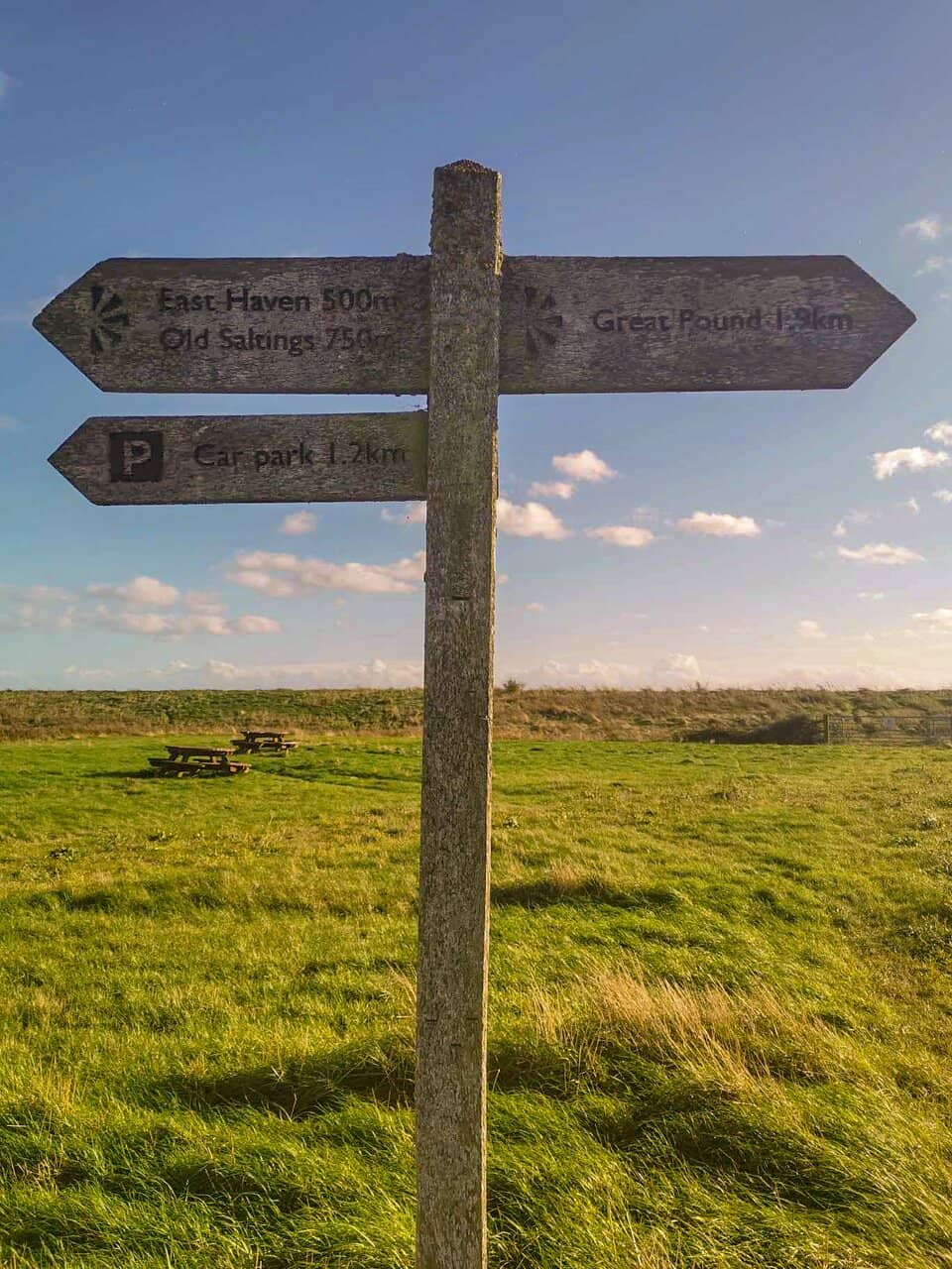 Scenic Walking Paths