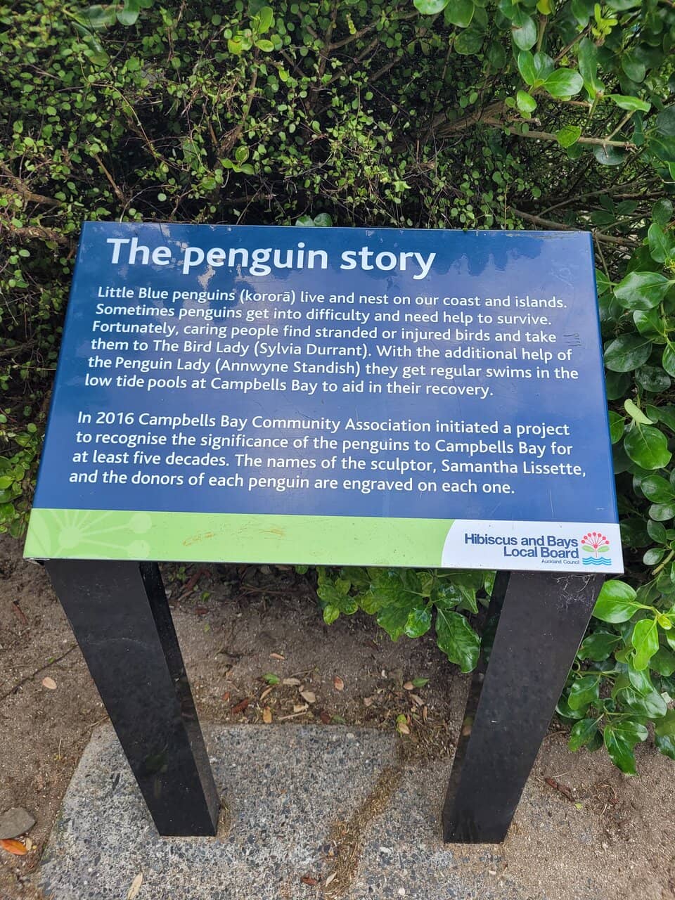 Calm Waters & Pontoon