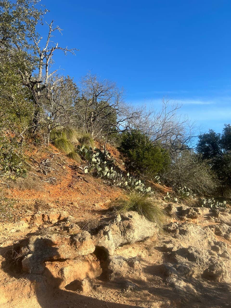 Lady Bird Johnson Golf Course