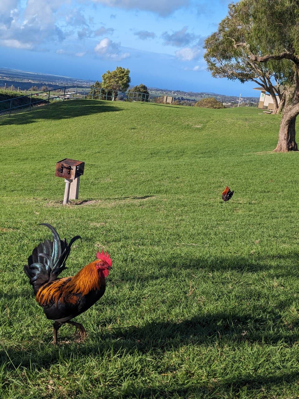 Spectacular Sunset Spectacle