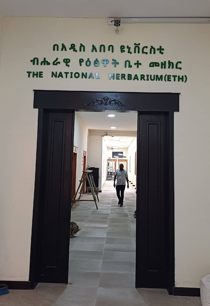 Diverse Animal Specimens