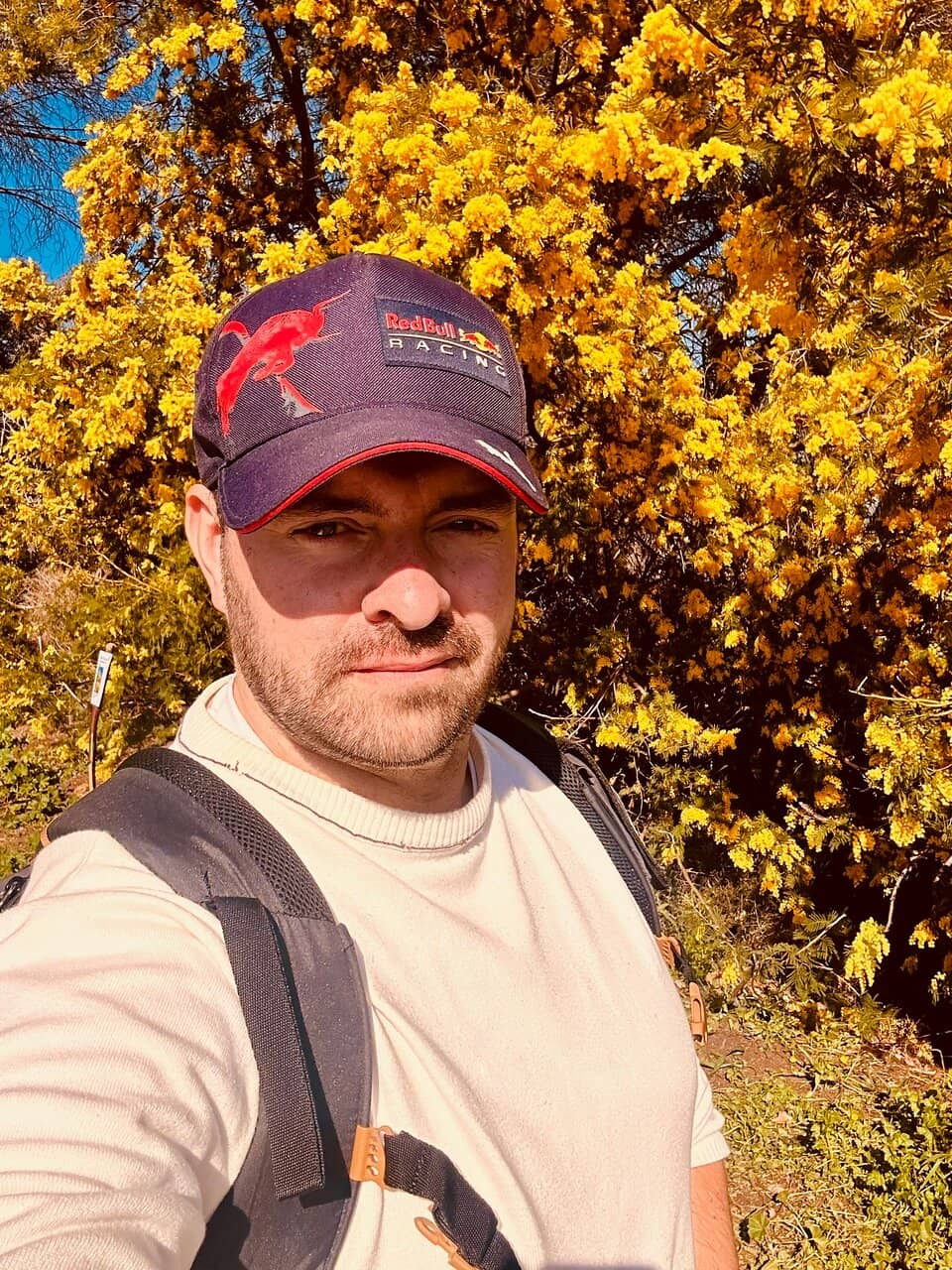 Route du Mimosa Scenic Drive